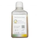 AQmv06600-500ml 優級胎牛血清（FBS） 500ml