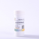 AQ11668 Lipocat2000轉染試劑