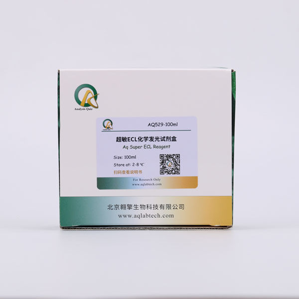 AQ529 超敏ECL化學(xué)發(fā)光試劑盒（Aq Super ECL Reagent）
